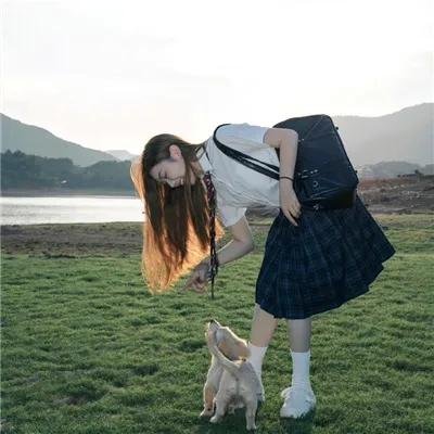 彩虹庇护所